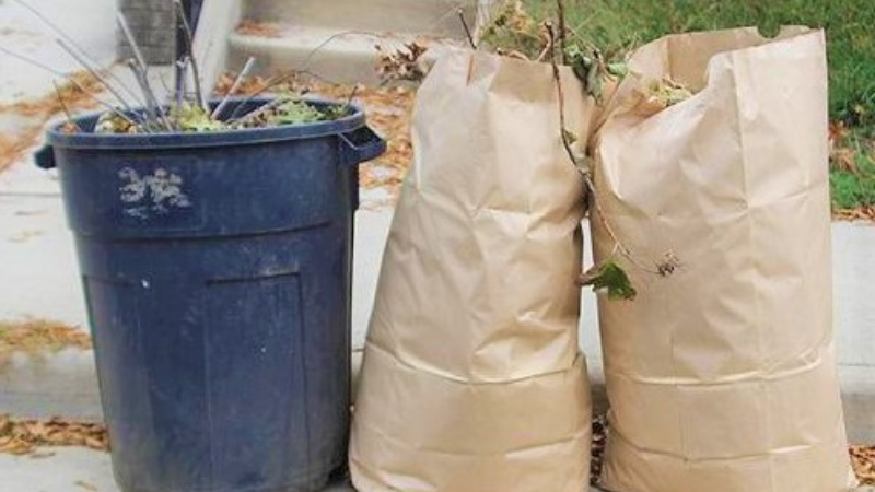 paper bags filled with yard waste