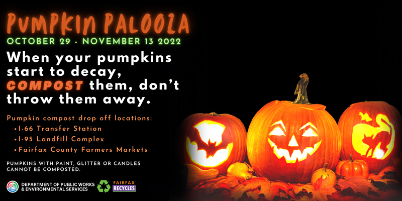 pumpkin palooza details; more info at the link.