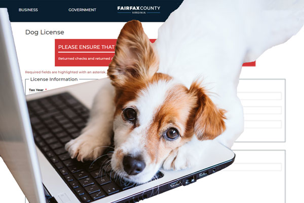 Renew your dog license online.