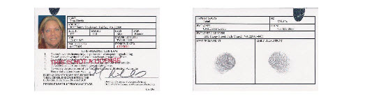 front and back sample picture of a solicitor's license