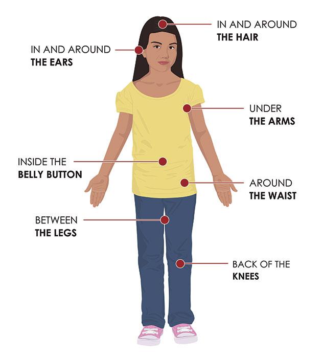 human body with tick check locations labeled