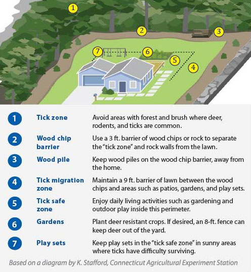 graphic highlighting locations around the yard to check for ticks