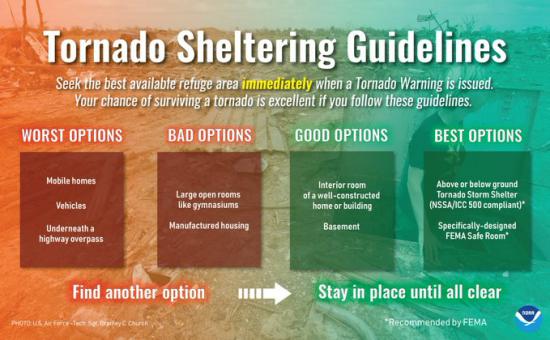 sheltering options