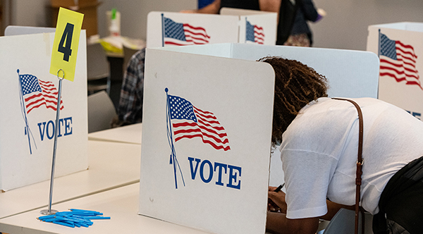 Voter in Fairfax County.