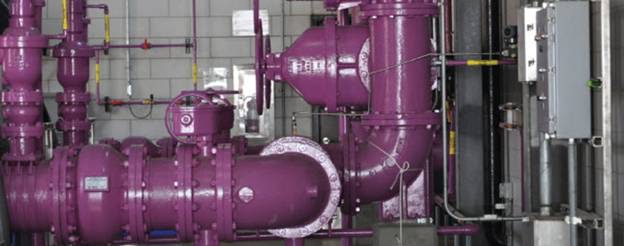 purple wastewater pipes