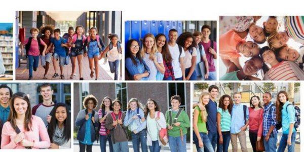 collage of fairfax county youth
