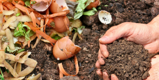 Image of hands scooping compost