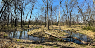 Image of Flatlick Stream Valley Park. A small stream cuts through trees that have lost all their leaves. 