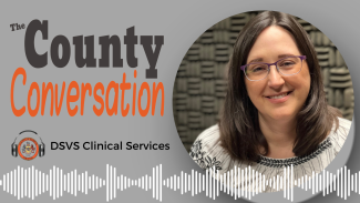 The County Conversation - DSVS Clinical Services