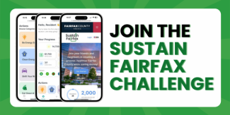 Sustain Fairfax Challenge
