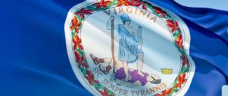 Virginia state flag