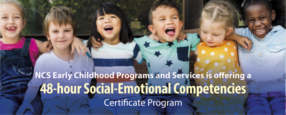 48-Hour Social-Emotional Competencies Certificate Program