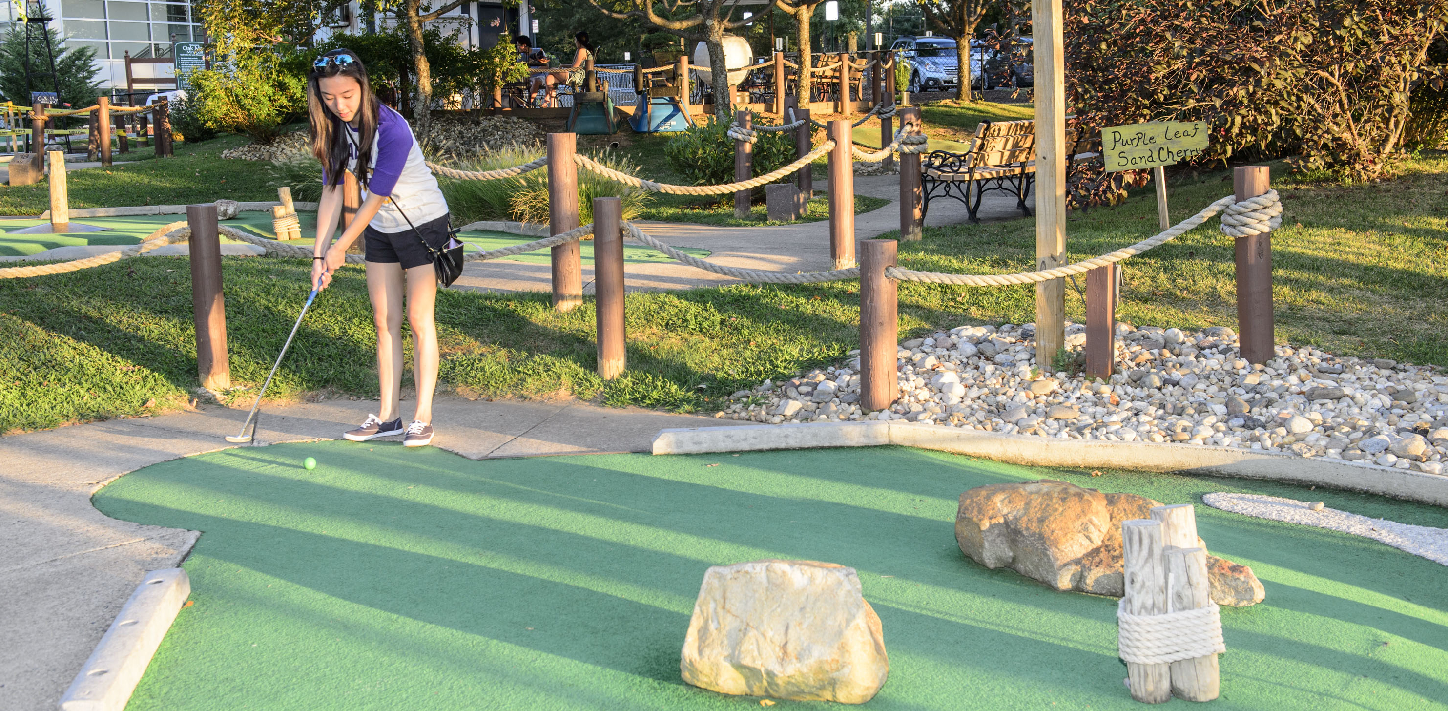 Oak Marr Mini Golf