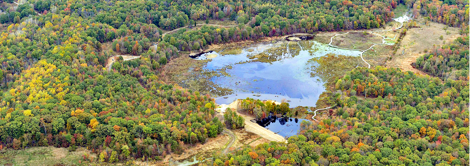 Aerial view of Huntley Meadows in fall