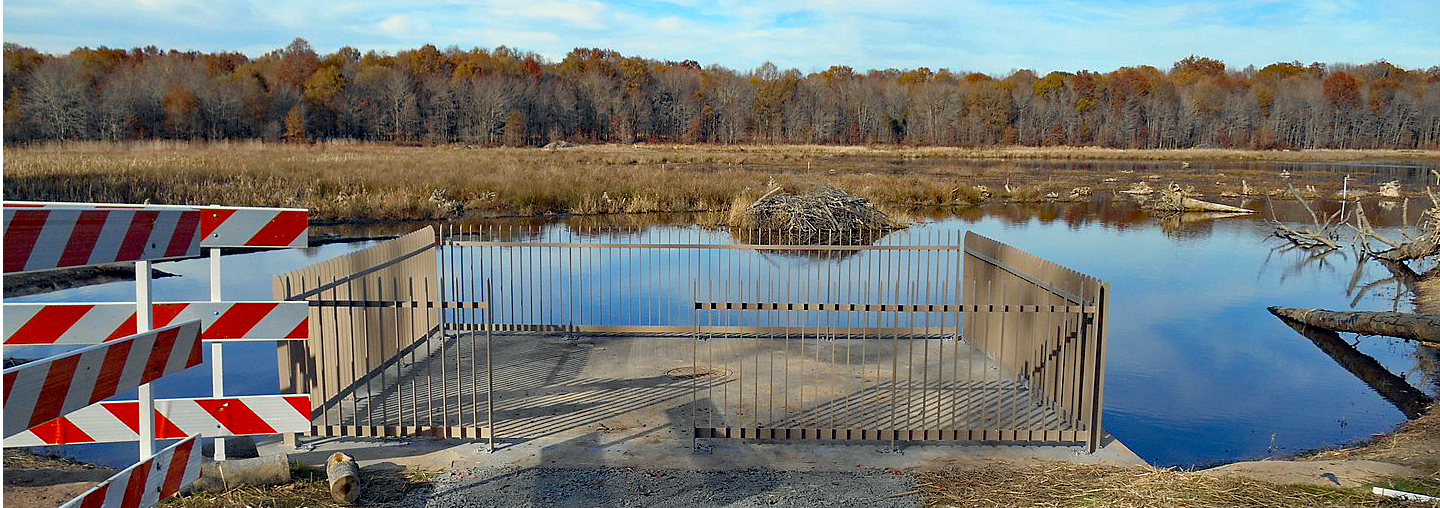 Brushpiles added to the wetlands for wildlife habitat