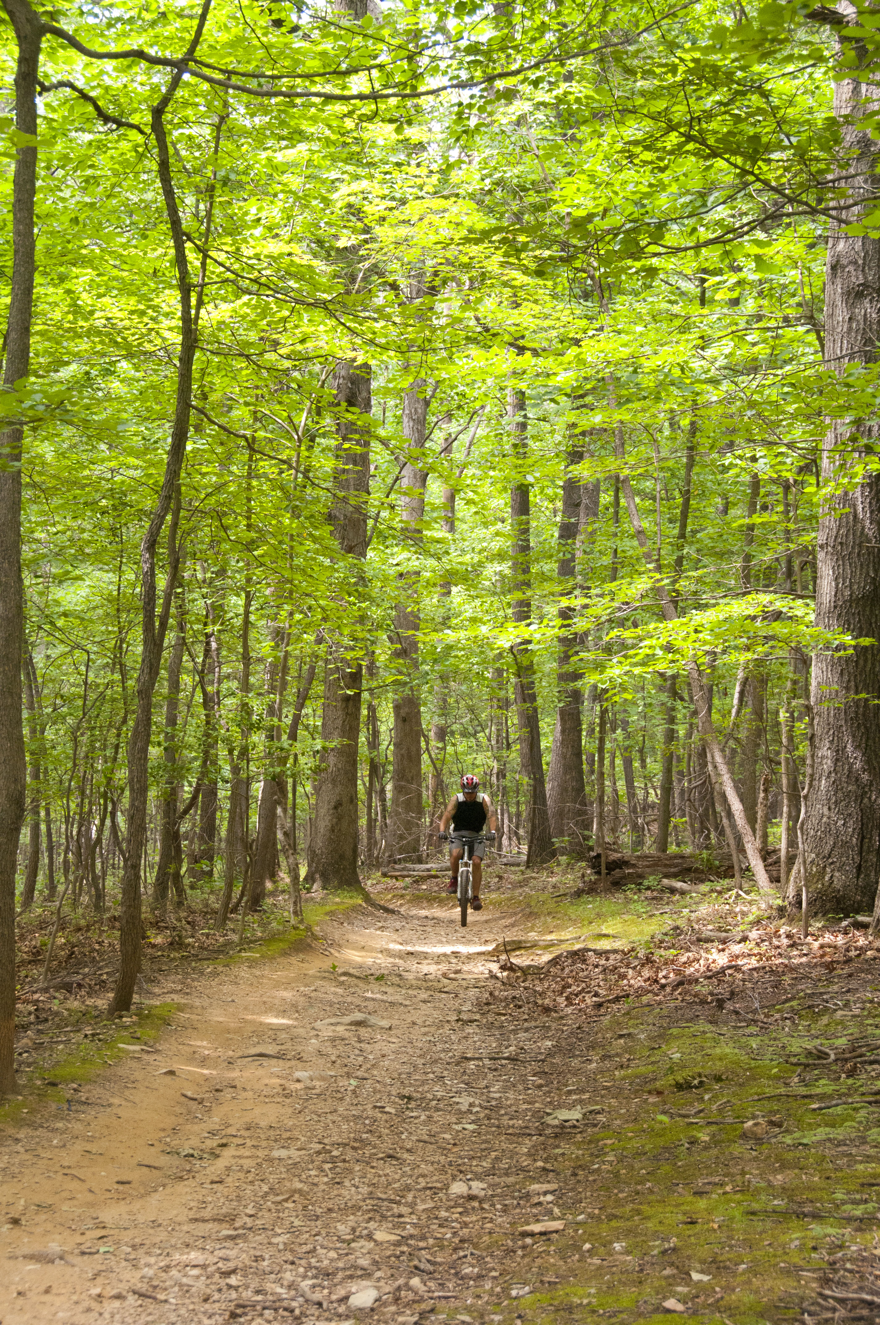 Lake Fairfax Trail