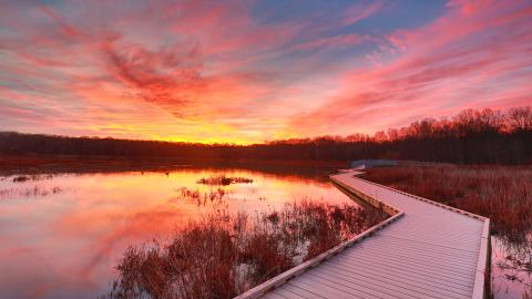 Mike Crosby - Huntley Meadows Park