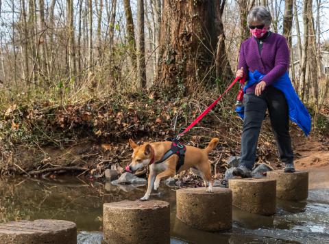 Jack Ledgerwood, Folly Lick Stream Valley Park