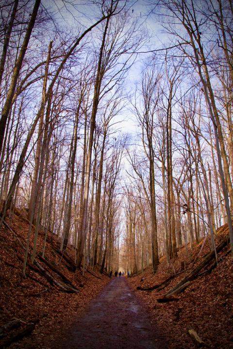 Heather Rabinowitz, Cross County Trail at Accotink 