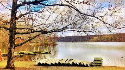 Billy Swistak, Burke Lake Park 