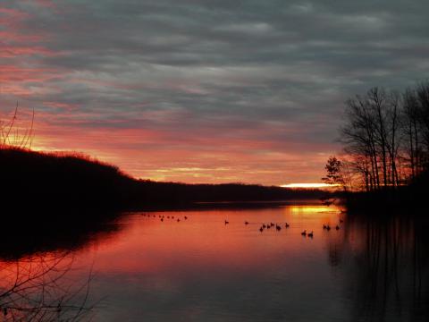 Diane Willen - Burke Lake Park