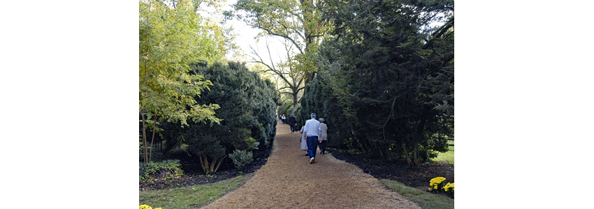 Walking path near Oak Hill