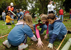 Several youth planting native plants.