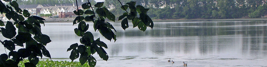 Shoreline along Occoquan River at Old Colchester