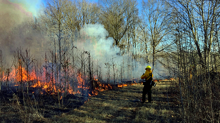 Smoke rises from a field during a prescribed burn