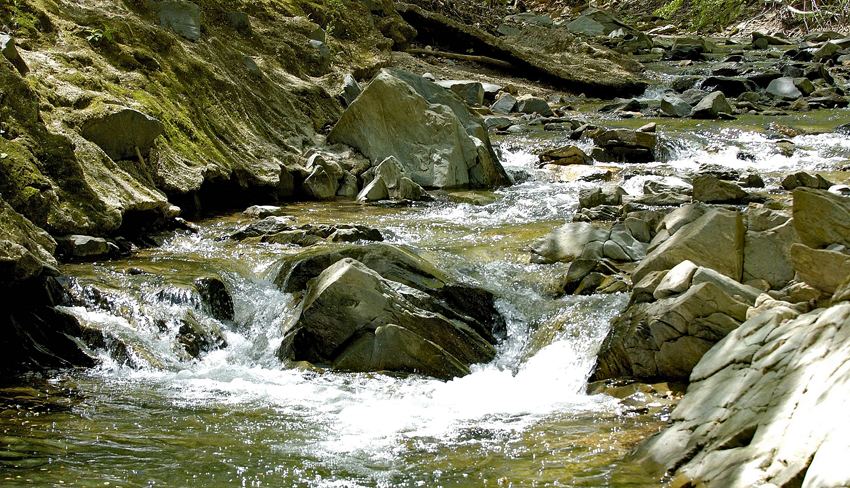Scott's Run bounces over rocks