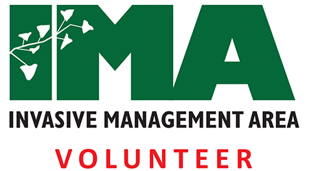 invasive management area volunteer