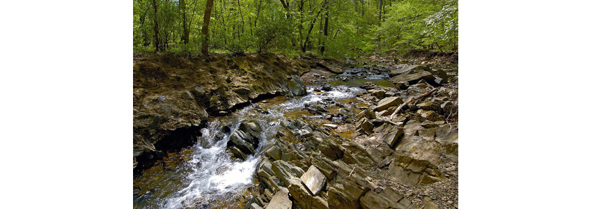 Waters of Scott's Run bouncing over rocks