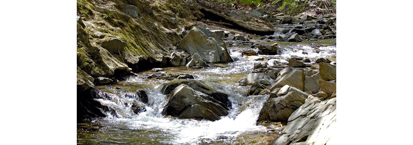 Cascades along Scott's Run