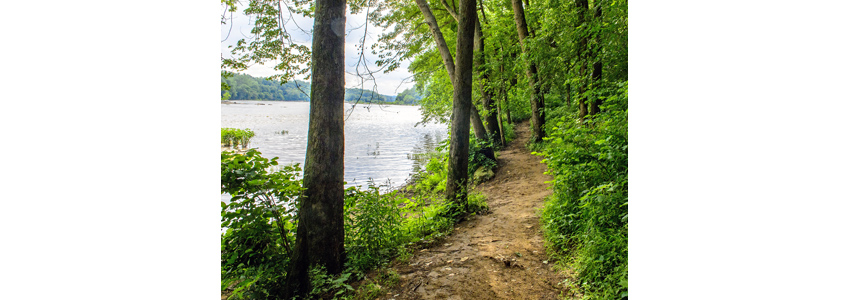 Hiking path alongside Potomac River