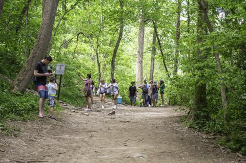  Swimming, Alcohol Banned at Scotts Run Nature Preserve