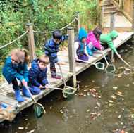 Grade schoolers try to net small animals in a pond