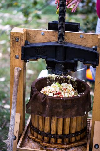 Cider Press