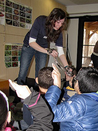 A naturalist plays show-and-touch with a snake and a group of children