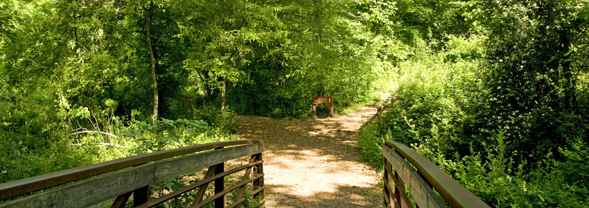 A bridge opens along a trail into a forested area