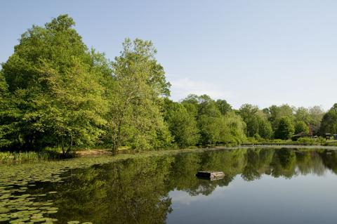 ECLP Water