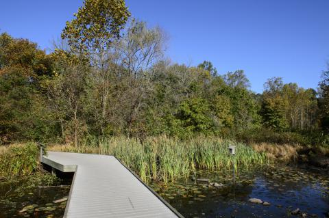 Ellanor C. Lawrence Park