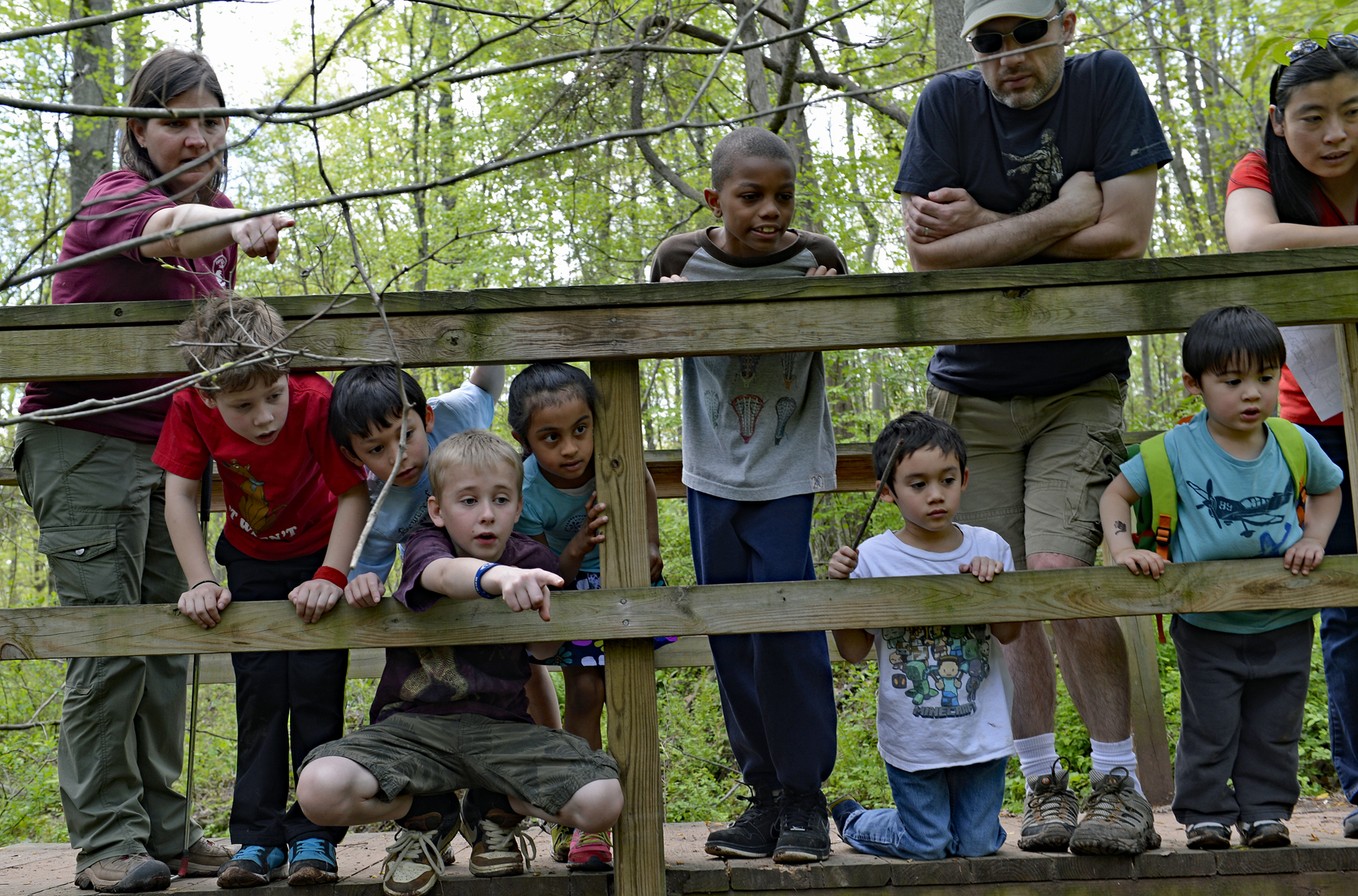 A naturalist points out a reptile in the wild to a group of children