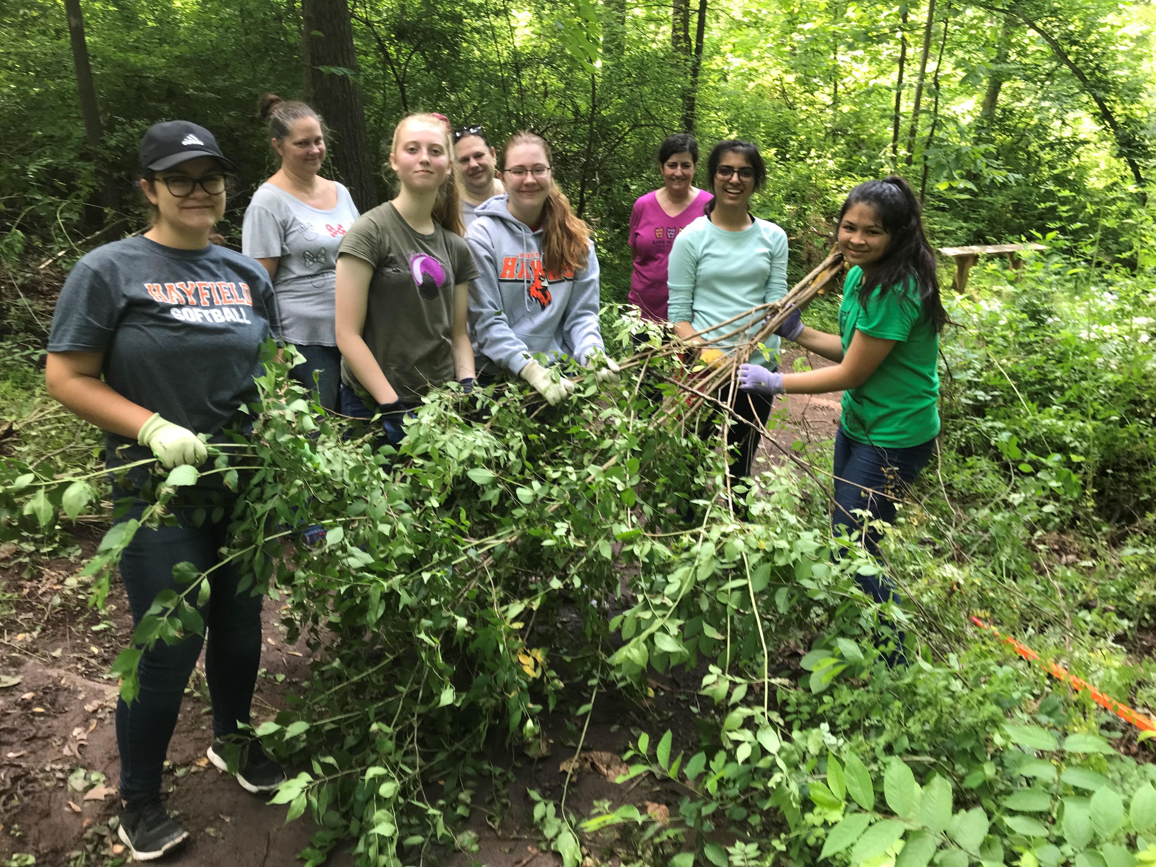Girl Scouts removing non-native invasive bush honeysuckle