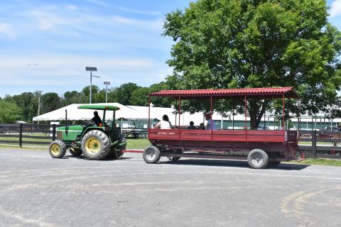 Wagon Ride