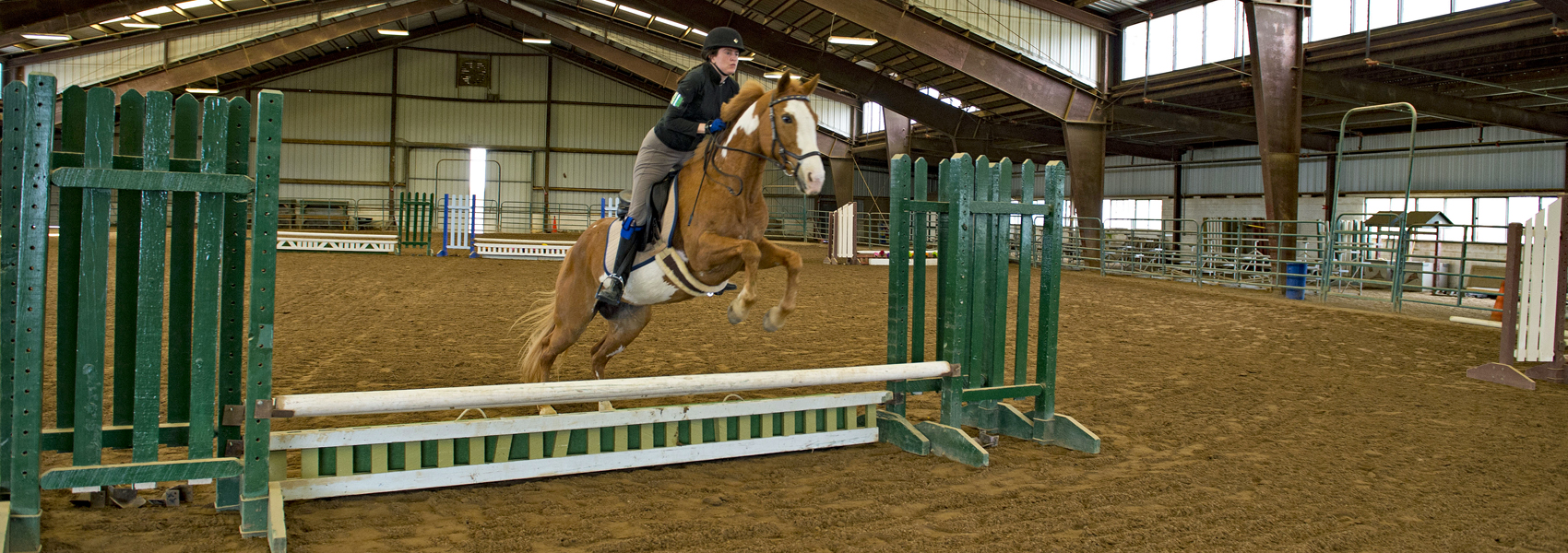 Horse and rider jump over rails on indoor course