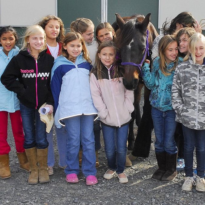 Equestrian Field Trip