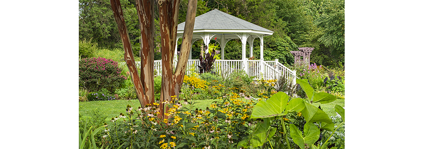 Lakeside gazebo