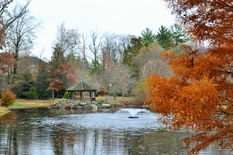 Green Spring Gardens Fall