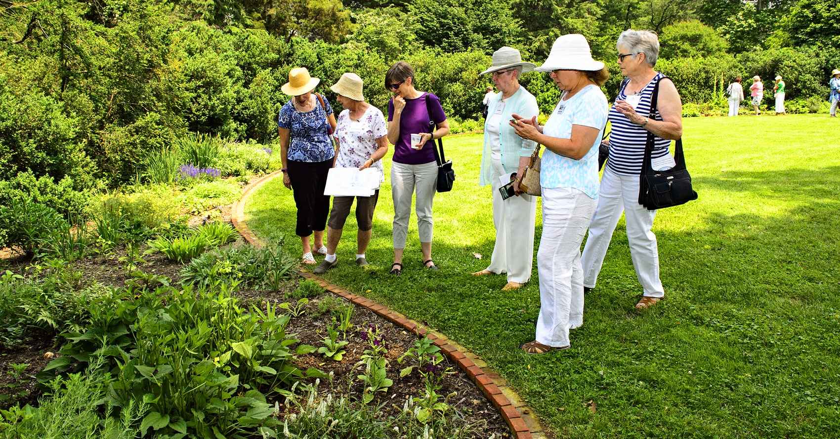 A tour group admires plants in the Farrand landscape