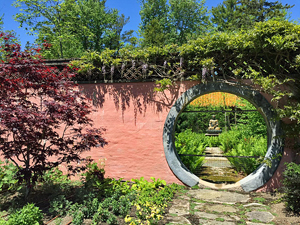 Photo courtesy of the Abby Aldrich Rockefeller Garden